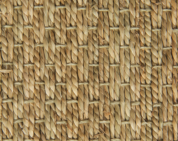 Seagrass Carpet